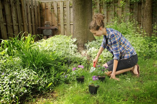 Maintenance crew trimming hedges on a suburban Alperton street
