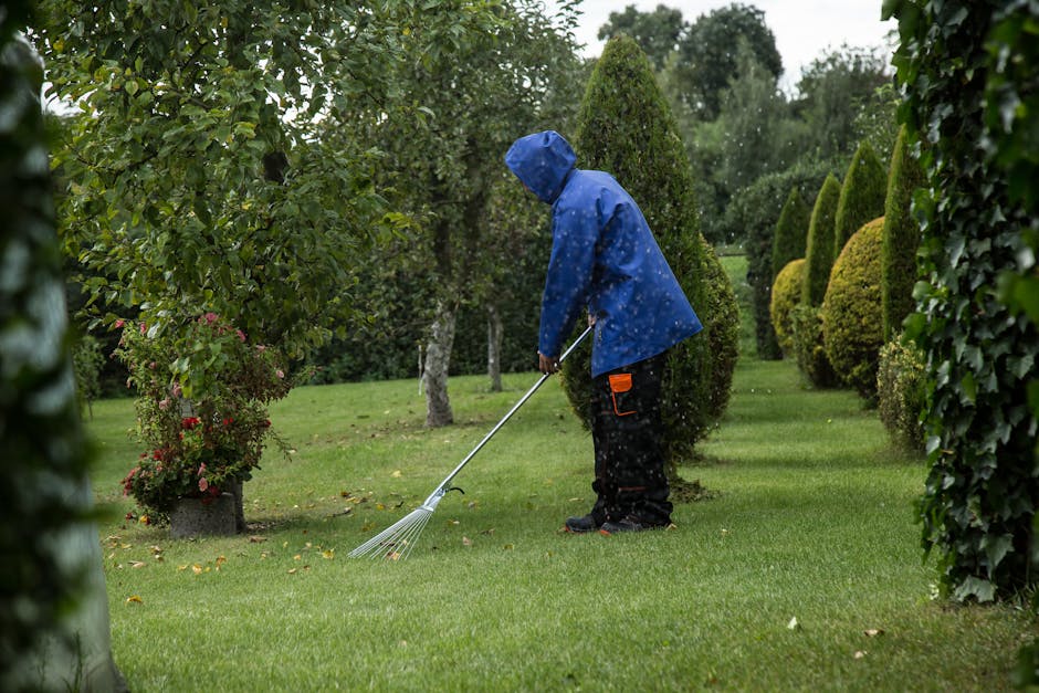 A gardener dressed in a blue shirt, beige trousers, and a cap is performing garden maintenance along a curved paved pathway. He is using a gardening tool to trim the edge of a well-manicured lawn, whi