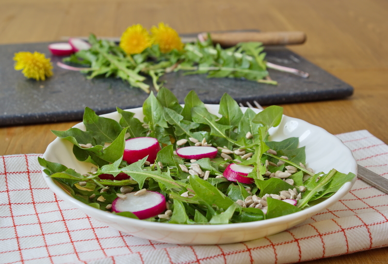 garden design landscape design